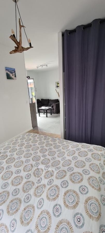 ル・テック Logement Au Calme Sur Le Bassin D Arcachonヴィラ エクステリア 写真